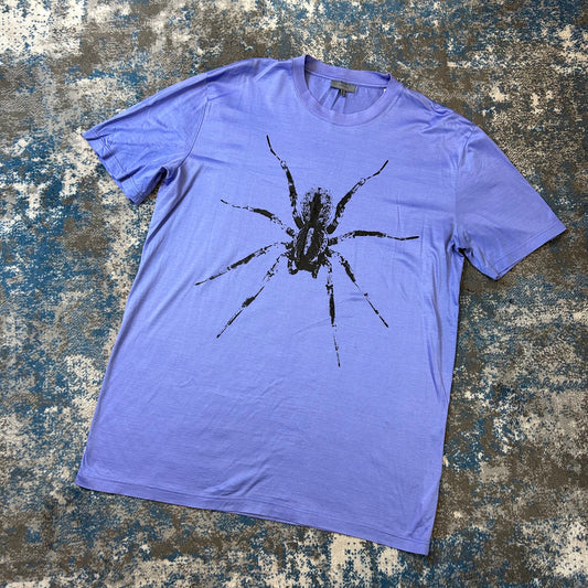 Baby Blue Spider T