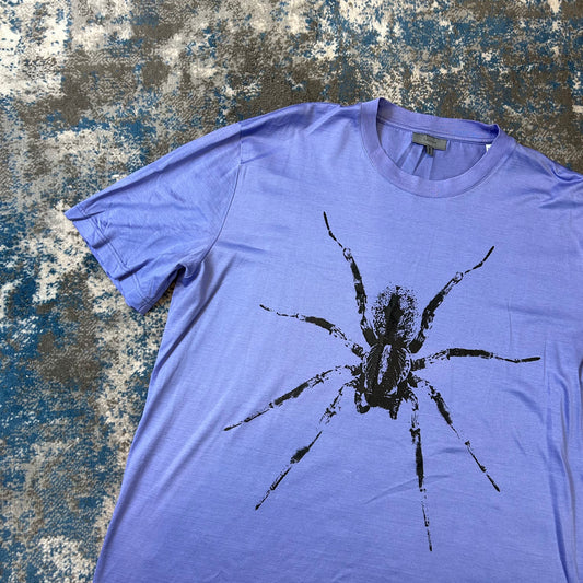 Baby Blue Spider T