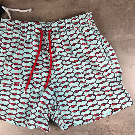 Fish SwimShorts